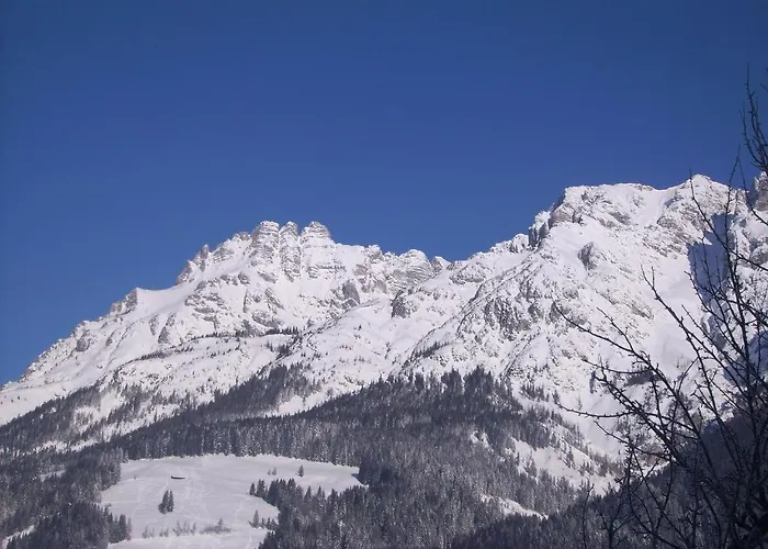 Ferienwohnung Pletzenauer Appartement Leogang