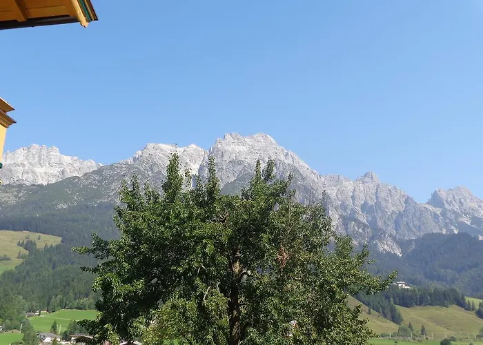 Ferienwohnung Pletzenauer Appartement *