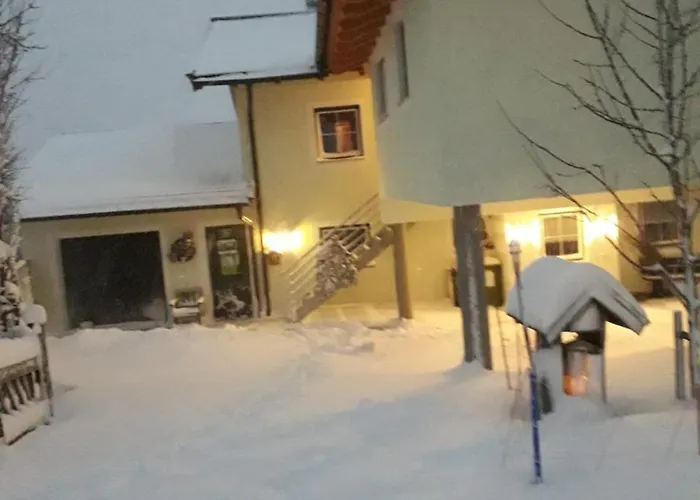 Ferienwohnung Pletzenauer Appartement *